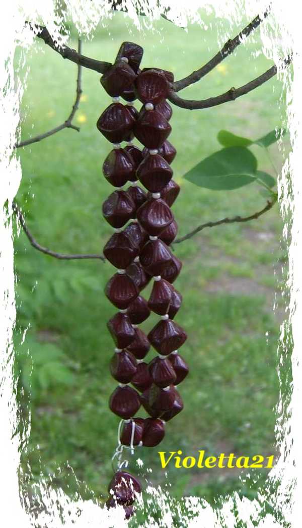Violetta21 dla Margolek