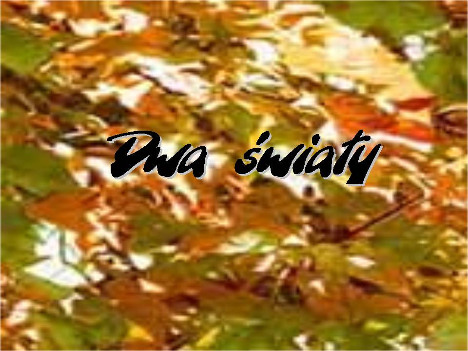 Dwa �wiaty